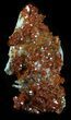 Shiny Red Vanadinite Crystals - Morocco #32332-2